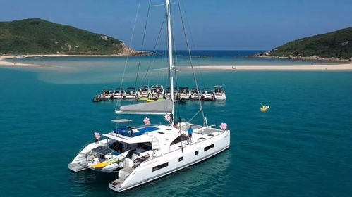 上海有大事發(fā)生......