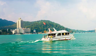 8人以下精品小團(tuán) 臺(tái)灣 臺(tái)北到臺(tái)中日月潭拼車一日游 苗栗泰安溫泉泡湯 日月潭游船 商務(wù)小車上門(mén)接送