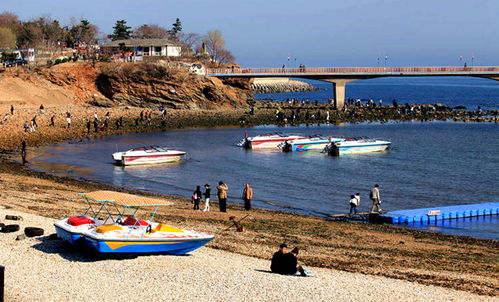 大連星海公園乘快艇環海觀光游,過了夏天,依然能 上海