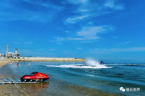 旅順游客碼頭配套服務(wù)中心主體封頂助力大連游艇產(chǎn)業(yè)發(fā)展