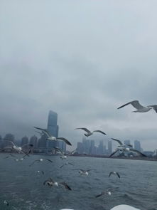 大連一日游 棒槌島、星海廣場與天祥游船的完美體驗(yàn)