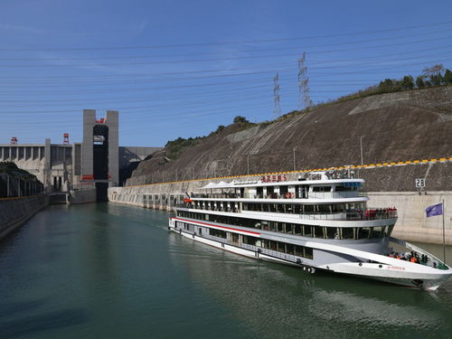 美國維多利亞系列宜昌神農架三峽重慶單飛7日游 探秘原始生態，盡享三峽風光