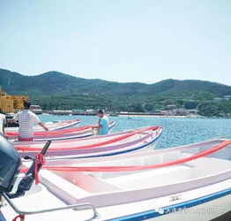 2017大連旅順釣魚節今日盛大啟幕，央視明星助陣引領大連游艇熱潮