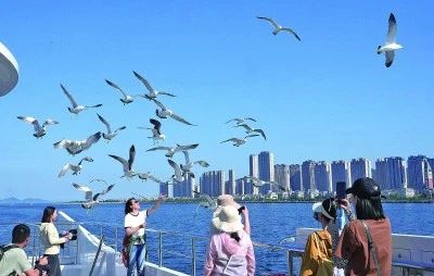 乘風破浪，逐夢蔚藍 大連游艇生活全覽