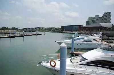 大連環城旅游巴士下周恢復運營，新增游艇體驗打造海陸聯游新風尚