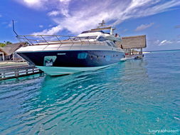 阿爾濱集團老總坐擁頂級游艇，展現大連游艇產業新高度