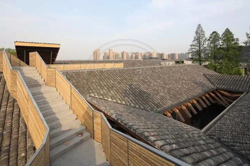 鄉(xiāng)院建設丨建筑材料專輯之瓦